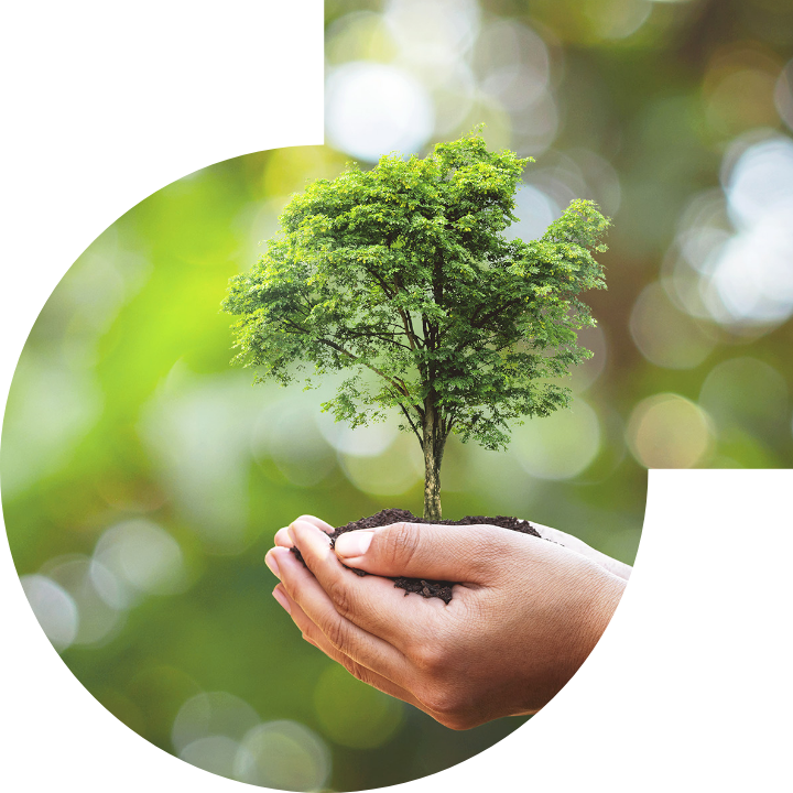 關懷人類、文化、環境與社會